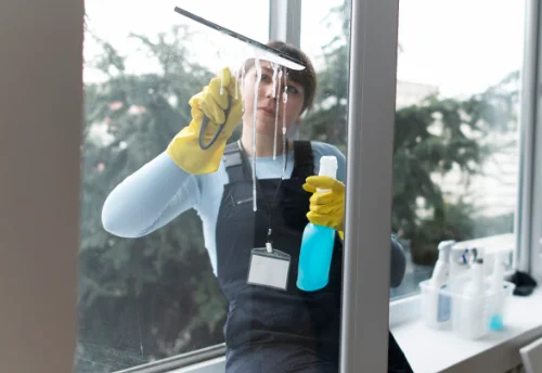 Nettoyage de vitres intérieures et extérieures à Bléré